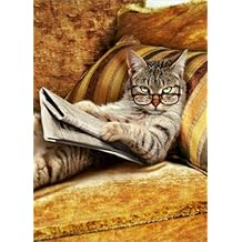 Suchergebnis auf Amazon.de für: katzen geburtstagskarten: Bürobedarf