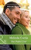 Front cover for the book One Perfect Year (A Harmony Valley Novel, #4) by Melinda Curtis