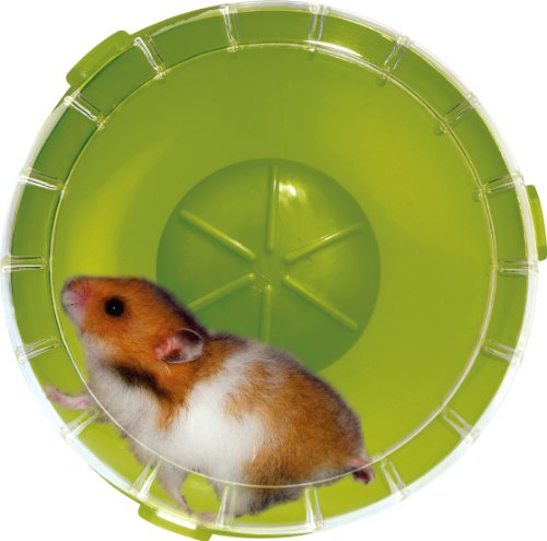 rodyl ounge Silent Wheel hámster Rueda para jaulas, silencioso, diámetro aprox. 14 cm, para hámster y ratones, de carreras de kiwi verde