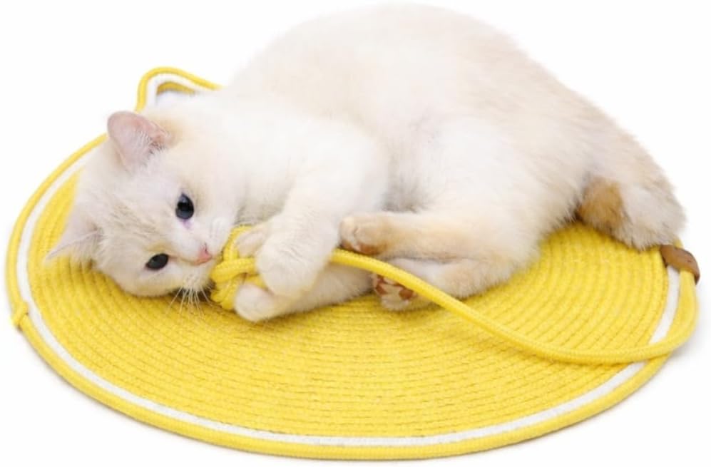 AEE® Kedi Oyun ve Tırmalama Paspası 47 CM – Aktivite Oyuncağı, Doğal Sisal Halatlı, Yuvarlak Kedi Tırmalama Matı – Yatan, Oynayan ve Tırmalayan Kediler İçin (Karışık Renk)