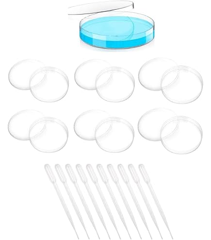 Lot De 10 Boîtes De Pétri En Plastique Transparent Stériles - Diamètre 70 Mm, Avec 2 Pipettes De Transfert - Pour Expériences De Laboratoire, Biologie