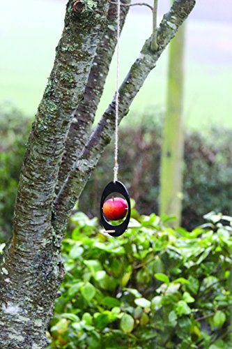 Nachhaltige Apfel-Futterstation – aus recycelten Blumenkästen - 3