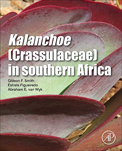 Preisvergleich Produktbild Kalanchoe (Crassulaceae) in Southern Africa: Classification, Biology, and Cultivation