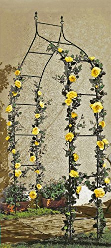 Gravidus Rosenbogen Rankgitter Torbogen aus Metall Grün - 2