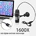 Produktbild Dough.QUSB Mikroskop 1600X 2-in-1 tragbares USB-Mikroskop Digitale elektronische Erkennung, 8 LEDs Mini-Videomikroskop für Windows Mac Buch Linux Android