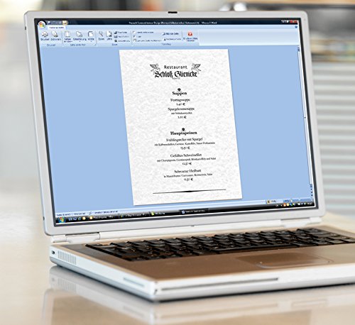 Sigel DP657 Struktur-Papier / Karton Perga grau, A4, 50 Blatt, Motiv beidseitig, 200 g – viele Modelle - 2