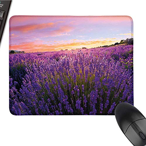 LavenderOffice Mouse PadRural Meadow in Full Blossom Summertime Lively Nature European LandWaterproof Mice Pad 9.8"x11.8"Violet Coral Light Blue