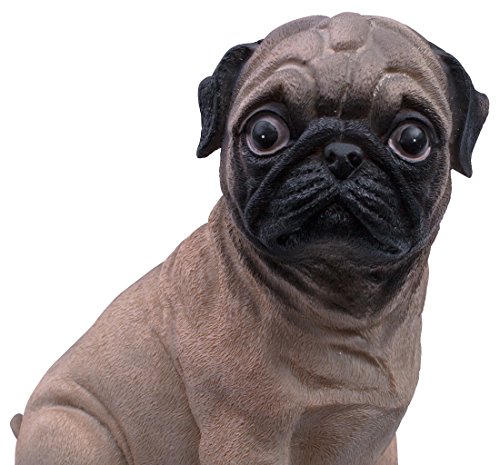 VENKON – Dekorative Spardose für alle Hundefreunde: „Banker auf vier Pfoten“ im sehr realistischen Mops Design – Höhe: ca. 20cm - 4