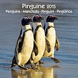 Pinguine 2015: Broschürenkalender mit Ferienterminen by 