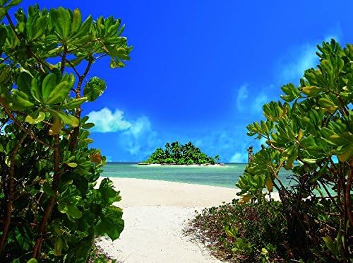 Photo Wall Mural PALM BEACH ISLAND (411P)-350x260 cm in 7 Strips-each 50cmx260cm-DIGITAL PRINTING Wallpaper XXL-Dog Animal Sea Stones Window Landscape Nature-Kitchen Children Dining Living