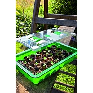 Romberg Serra M (cavità per pastiglie Sorgente, grondaie, Coperchio con Fori di aerazione e cursore) Verde