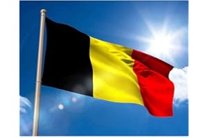 HOLLYLIFE Drapeau Belgique 150 x 90 cm avec 2 œillets Métalliques Grand Drapeau National Belge Fanion Tissue Vives Flag Belgium Parfait Pour Les Festivals, Manif, Decoration Extérieur du Jardin