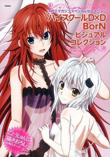 Preisvergleich Produktbild Highschool DXD Born Visual Collection Artbook + Poster (Japan Import)