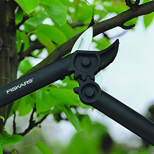 Fiskars PowerGear Amboss-Getriebeastschere für trockenes und hartes Holz, Antihaftbeschichtet, Gehärteter Präzisionsstahl, Länge 40 cm, Schwarz/Orange, L31, 1000581 - 6