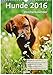 Wochenkalender - Hunde 2016 by 