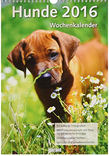 Wochenkalender - Hunde 2016