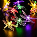 ❤Para regalos pequeños que provocan grandes alegrías❤Christmas guirnalda luces navidad solar guirnalda de luces navidad adornos de navidad luces arbol navidad cuento de navidad bluray belenes de navidad una navidad con mucho amor poster luces navidad decoracion navidad luz de navidad led navidad globo luces de navidad figuras de navidad arboles de navidad bolas navidad transparentes bolas navidad luces de navidad Christmas led luces de navidad a pilas pijama tira de luces Christmas navidad