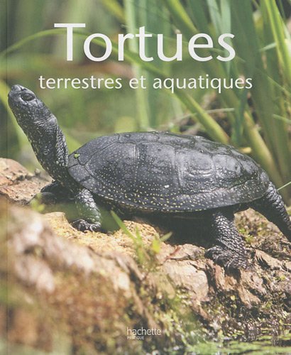 couverture de : Tortues