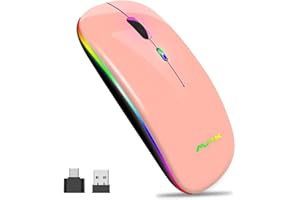 AMZCASE Mouse wireless 2.4G Bluetooth 5.0, sottile, con USB ottico portatile 2.4G, LED a doppia modalità ricaricabile per laptop,PC,Mac OS,Android,Windows(Champagne)