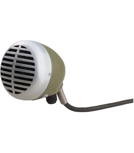 JTS CX-520 Microphone Dynamique pour Instruments Blues Harp et Traditionnels Harmonica Micro avec supercardioïde avec boîte de Transport et Adaptateur de câble Noir