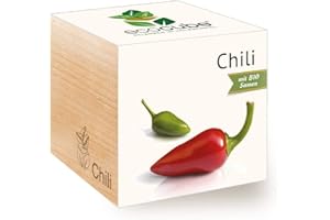 Feel Green 296237 Ecocube Chili, Bio Zertifiziert, Nachhaltige Geschenkidee (100% Eco Friendly), Grow Your Own/Anzuchtset, Pflanzen Im Holzwürfel, Made in Austria
