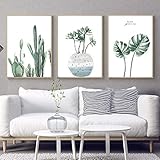 laminas cactus amazon Unos cuadros decorativos de pared para sala, dormitorio, cocina, oficina, hotel, comedor, oficina, baño, bar, etc.