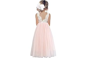 Beganly Girls' Holiday Dresses, Lace V-Back Dress, Sleeveless, Fluffy Tulle Princess Party Dress, Flower Girl Dresses