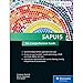 SAPUI5: The Comprehensive Guide (SAP PRESS: englisch) by Christiane Goebels, Denise Nepraunig