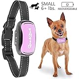 [Gesponsert]GoodBoy Mini Vibrationshalsband für kleine Hunde - wiederaufladbar und wasserdicht Kontrolle von übermäßigen Bellen mit diesem einfachen und effektiven Antibell Halsband für kleine und mittlere Hunde ab 2,5kg und 12cm-48cm Halsumfang Sicher und human ohne Shock