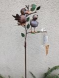 Regenmesser Gartenstecker Metall Vögel