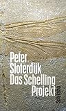 Cover zum Buch Das Schelling-Projekt: Bericht