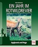 Image de Ein Jahr im Rotwildrevier: Jagdpraxis und Hege