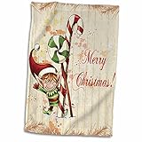 caramelos de navidad menta Toalla de mano/deporte; 15 x 22 pulgadas