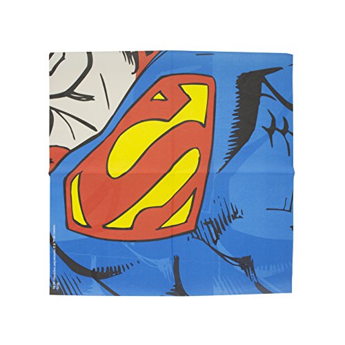 Flashpoint 510289 DC Comics Dress Servietten - 3