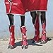 Produktbild Horseware Amigo Travel Boots - Red/White - Transportgamaschen, Größe:Warmblut (L)
