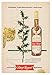 Produktbild Spey Royal Whisky – Old-School kommerzielleres Vintage Retro laminiert 150 Mikron Hohe Qualität Poster Bild Foto Druck Größe A3