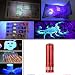 Produktbild Siswong UV LED Handlampe Taschenlampe, Ultraviolett Multifunktional falsche Papiergeld, Haustiere Eingetrocknete Urinflecken, gebrochene Glaswaren, Tatort Detektor