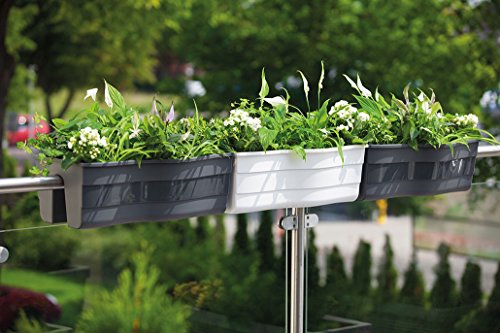 Balkonkiste Blumenkasten Geländerkasten Balkonkasten Wave 60 / H: 20 cm Hell Grün - 6