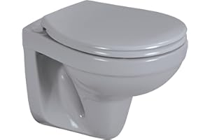 sanicomfort Wand-WC manhattan spülrandlos, Tiefspüler, Abgang waagrecht, mit WC-Sitz mit Absenkautomatik