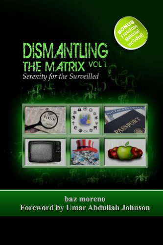Dismantling the Matrix: Serenity for the Surveilled Vol:1 (English Edition) livre