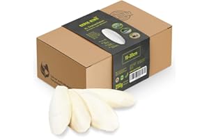 Sepia King Sepiaschalen – XL Box 250g 15-20cm | Natürliche Kalzium und Mineralstoff-Quelle | Sepia Schalen - Futter für Reptilien, Schildkröten, Bartagame, Vögel, Terrarium Zubehör