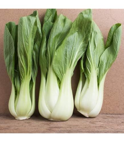 Semi Di Lattuga Da Taglio Bis - Miscela Verde E Rossa Riccia, Busta 30g Per Orto E Giardino - 2