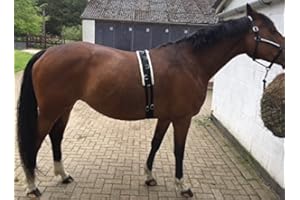 Cwell Equine Synthetic Fleece PAD LUNGE BREAKING TRAINING ROLLER + adjustable girth BLACK F/C/P