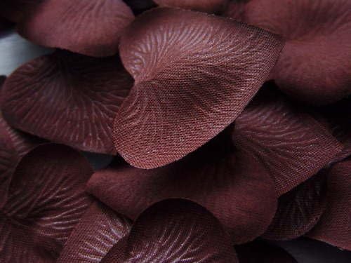 100 QUALITY CHOCOLATE BROWN HEART SILK ROSE PETALS CONFETTI/WEDDING