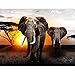 Produktbild Fototapeten Afrika Elefant 352 x 250 cm - Vlies Wand Tapete Wohnzimmer Schlafzimmer Büro Flur Dekoration Wandbilder XXL Moderne Wanddeko - 100% MADE IN GERMANY - 9236011a
