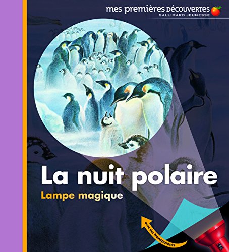 La  nuit polaire