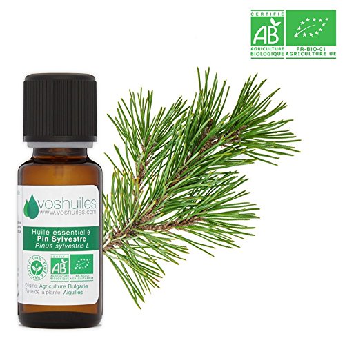 Huile Essentielle BIO de Pin Sylvestre - 10ml