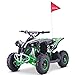 Price comparison product image Renegade Race-X 36V 1000W Rechargeable Electric Quad Bike - Green