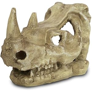 Lucky Reptile DS-R Deco Skull Rhino