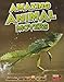 Produktbild Amazing Animal Movers (Read Me!: Animal Superpowers)